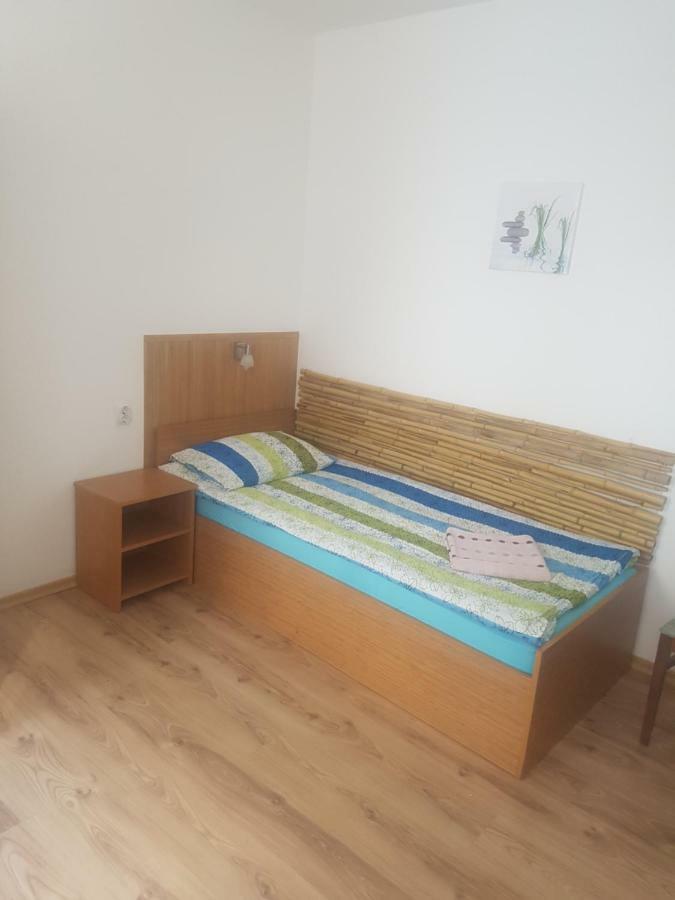 Pension Haus Baron 1 Neckarau マンハイム エクステリア 写真
