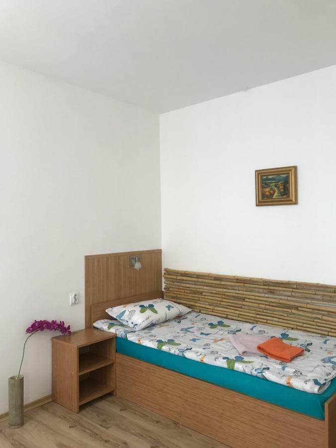 Pension Haus Baron 1 Neckarau マンハイム エクステリア 写真