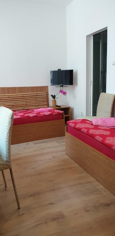 Pension Haus Baron 1 Neckarau マンハイム エクステリア 写真