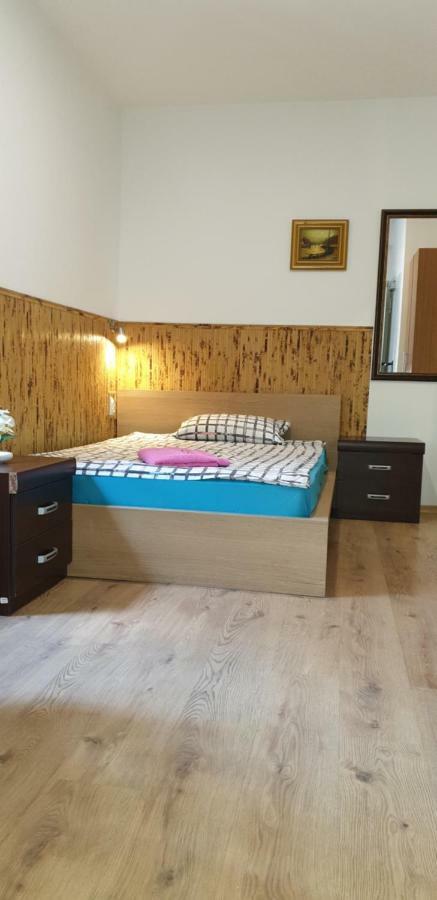 Pension Haus Baron 1 Neckarau マンハイム エクステリア 写真