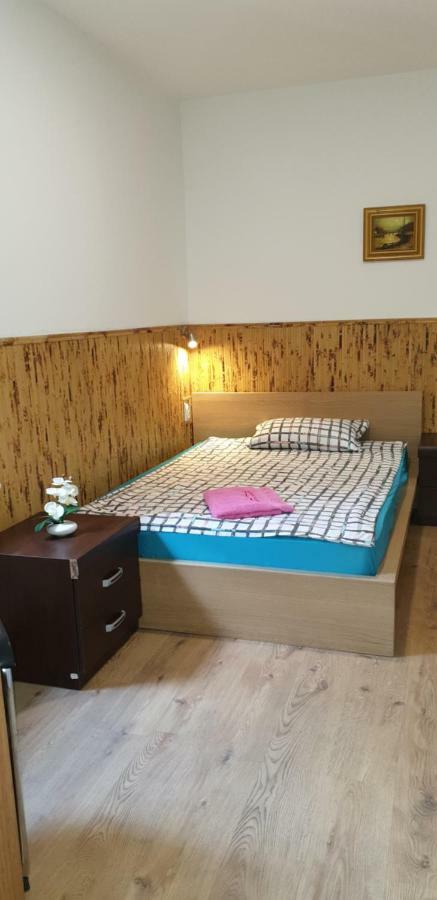 Pension Haus Baron 1 Neckarau マンハイム エクステリア 写真