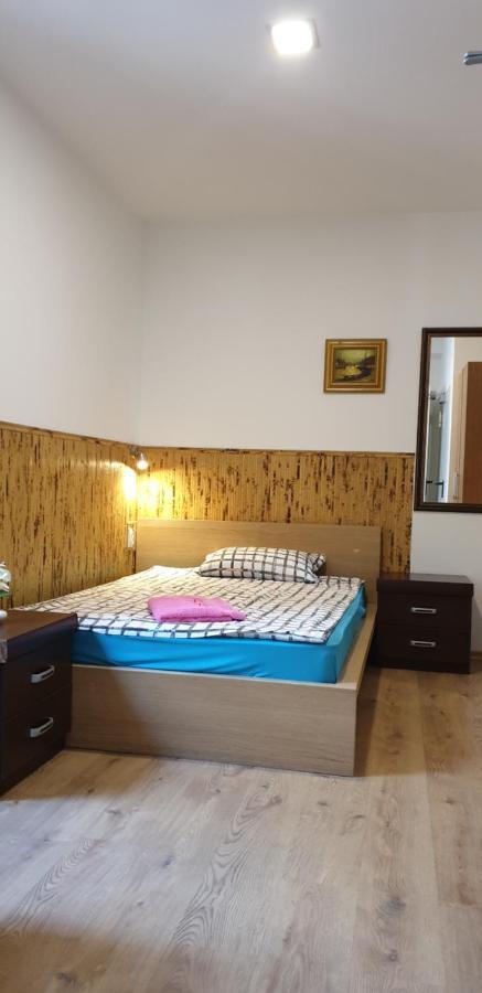 Pension Haus Baron 1 Neckarau マンハイム エクステリア 写真